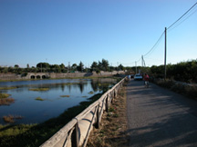 Lago di Sassano 1